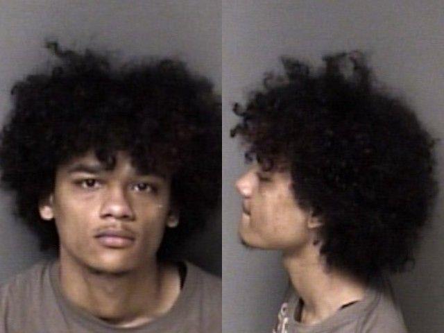 Booking photo of William Stitt