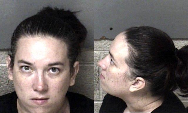 Booking photo of Michelle Mcgreevy