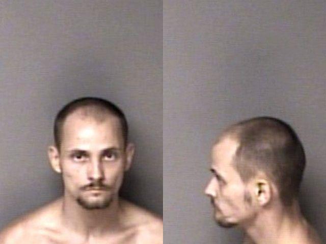 Booking photo of Adam Hullender