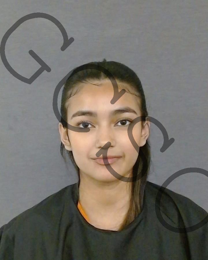 Booking photo of Sara Fernandez