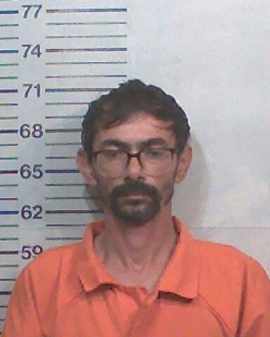 Booking photo of Seren Elmas
