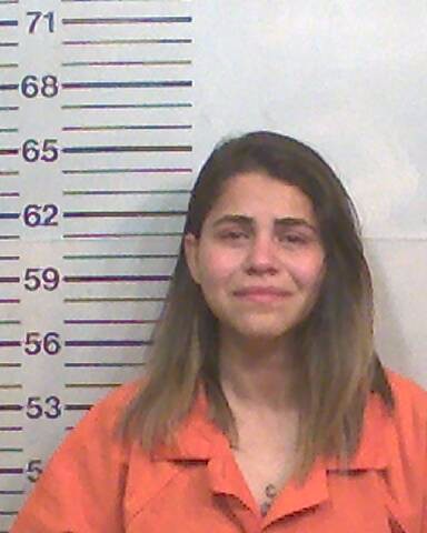 Booking photo of Ligia Meza Sevriapt