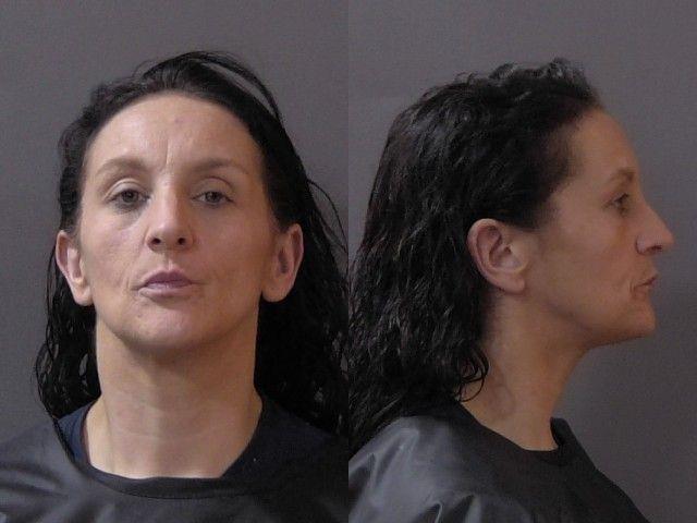 Andrea Martin booking photo