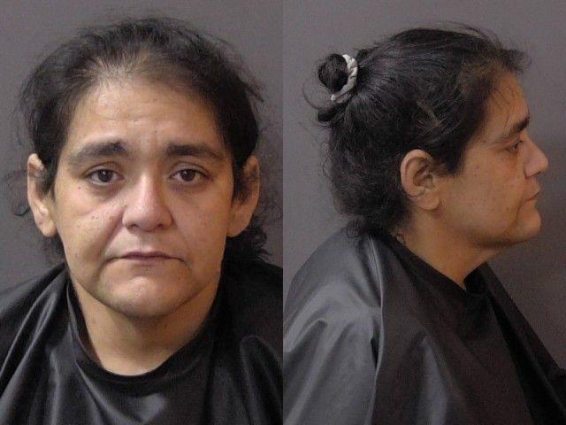 Booking photo of Katina Kallis