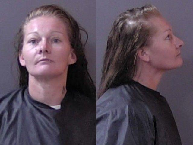 Booking photo of Natasha Young