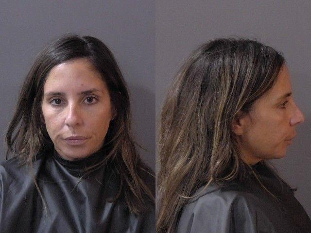 Booking photo of Cynthia Mcnerney
