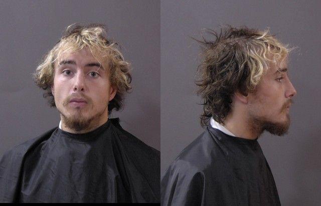 Booking photo of Andruw Ingram