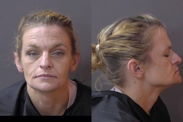 Booking photo of Lisa Solan