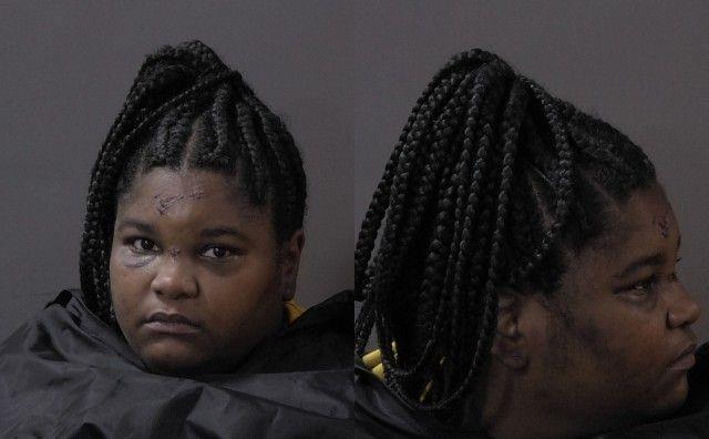 Booking photo of Brianna Johnson