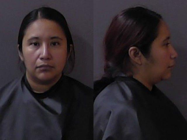 Booking photo of Areli Villia Roman