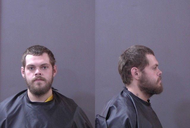 Booking photo of William Dulworth