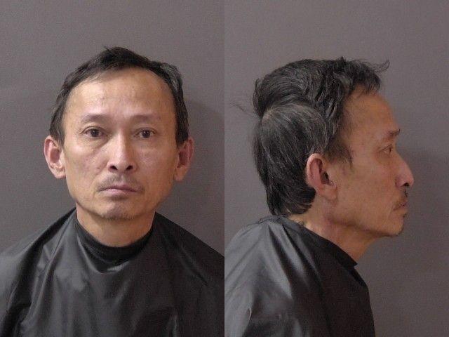 Booking photo of Viet Dinh