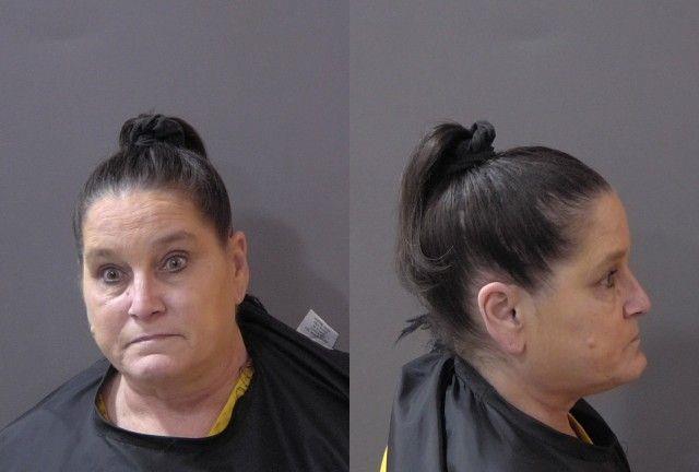 Booking photo of Lori Noll