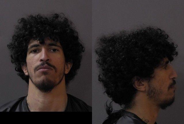 Booking photo of Peter Girgis Ashak