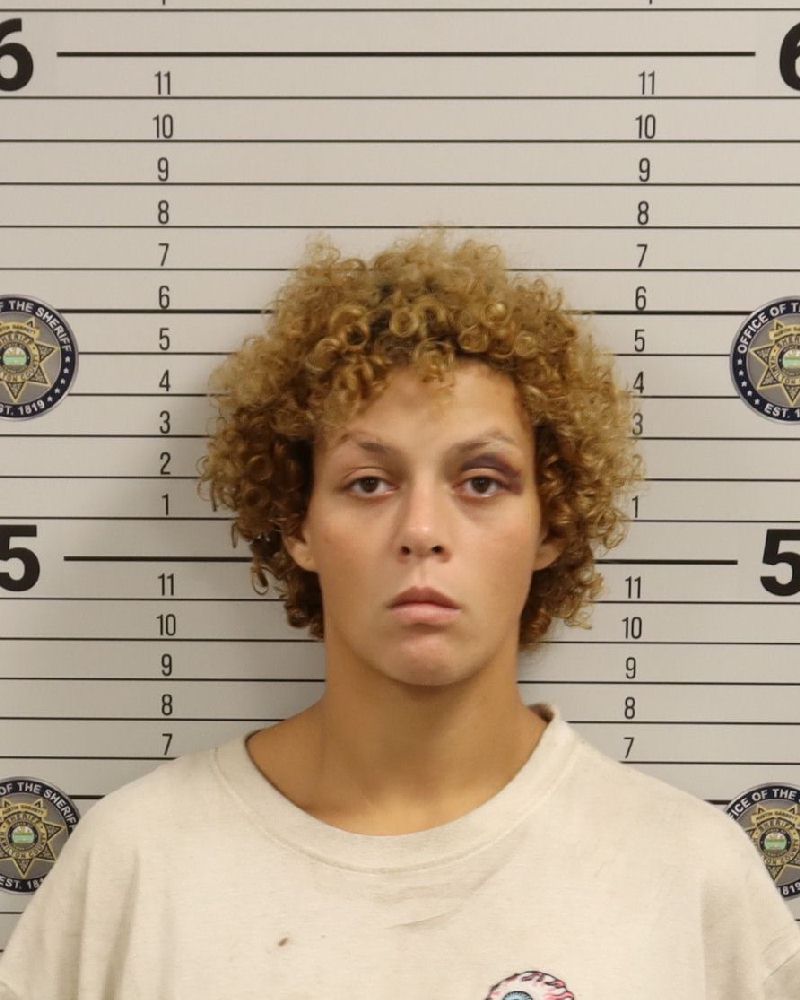 Virginia Maire Bean booking photo