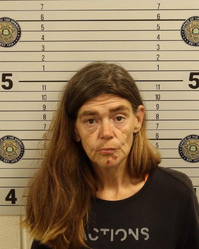 Booking photo of Crystal Dawn Knight