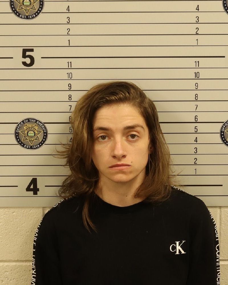 Booking photo of Layla Christine Vaughn