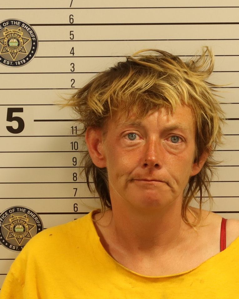 Booking photo of Latisha Dawn Dettrie
