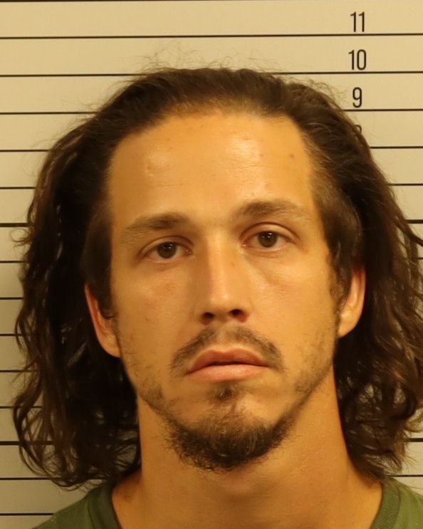 Booking photo of Logan Steed Sneed