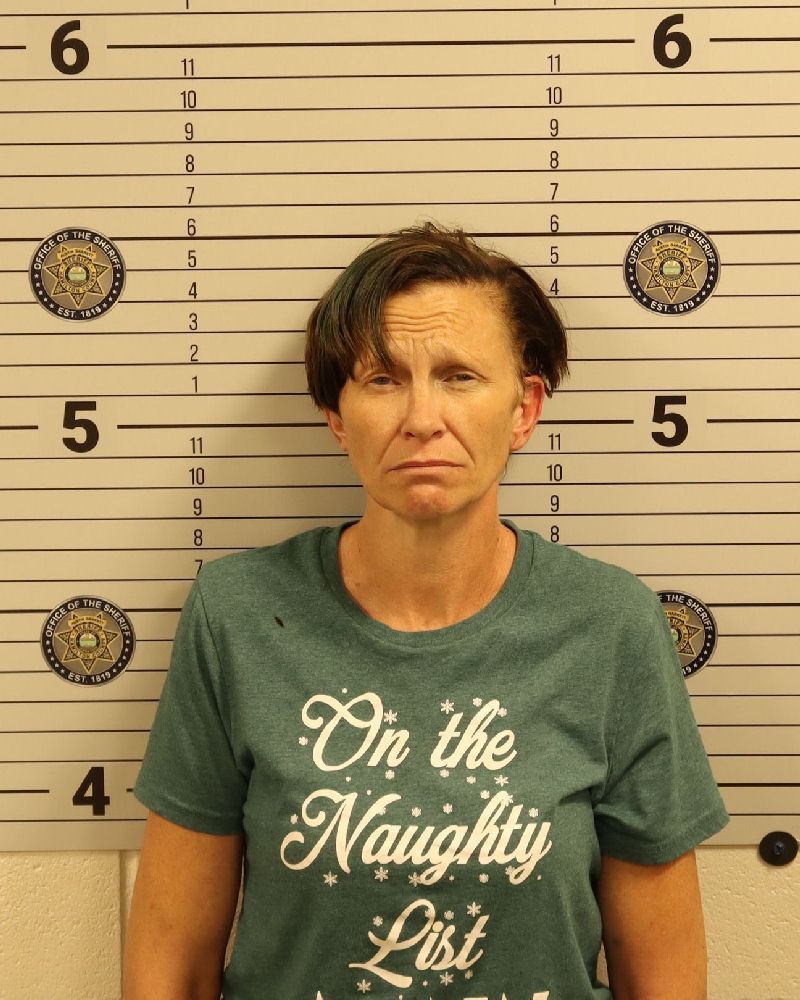 Booking photo of Kimberly Cleek
