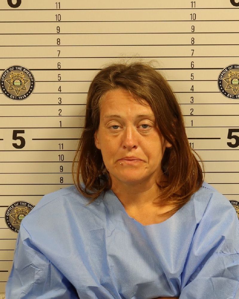 Booking photo of Jessica N Barlow