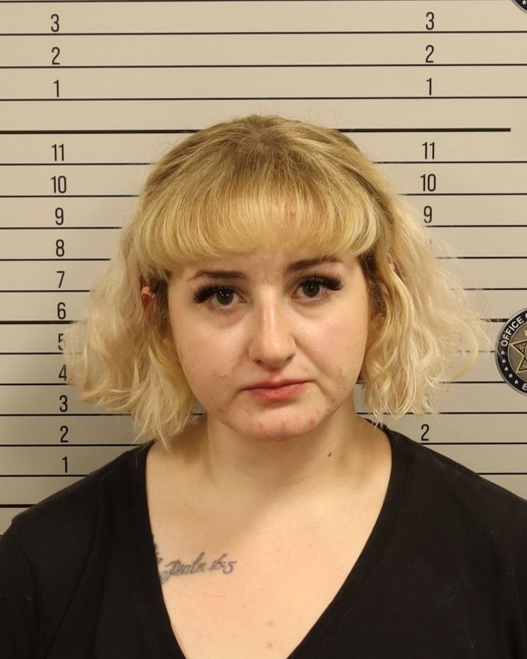 Booking photo of Briana Nichole Tipton