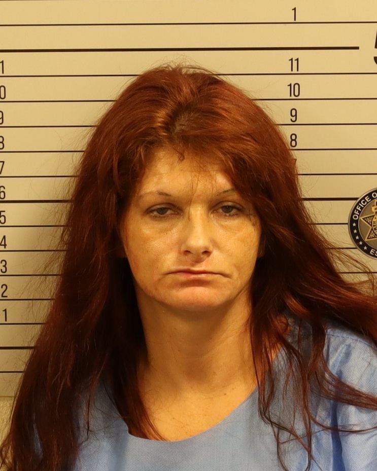 Booking photo of April Lynette Burkhart