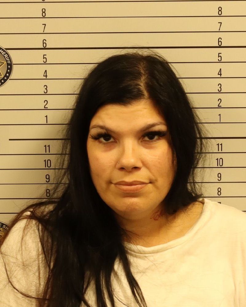 Diana Ivis Hevia- Rodriguez booking photo