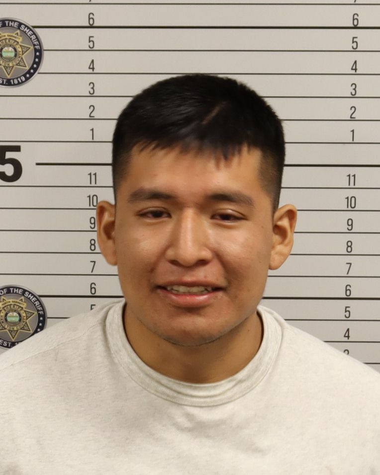 Avdiel Josias Vicente booking photo