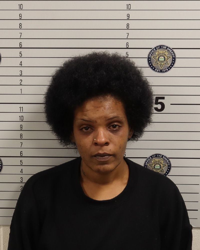 Rekita Renee Watkins booking photo
