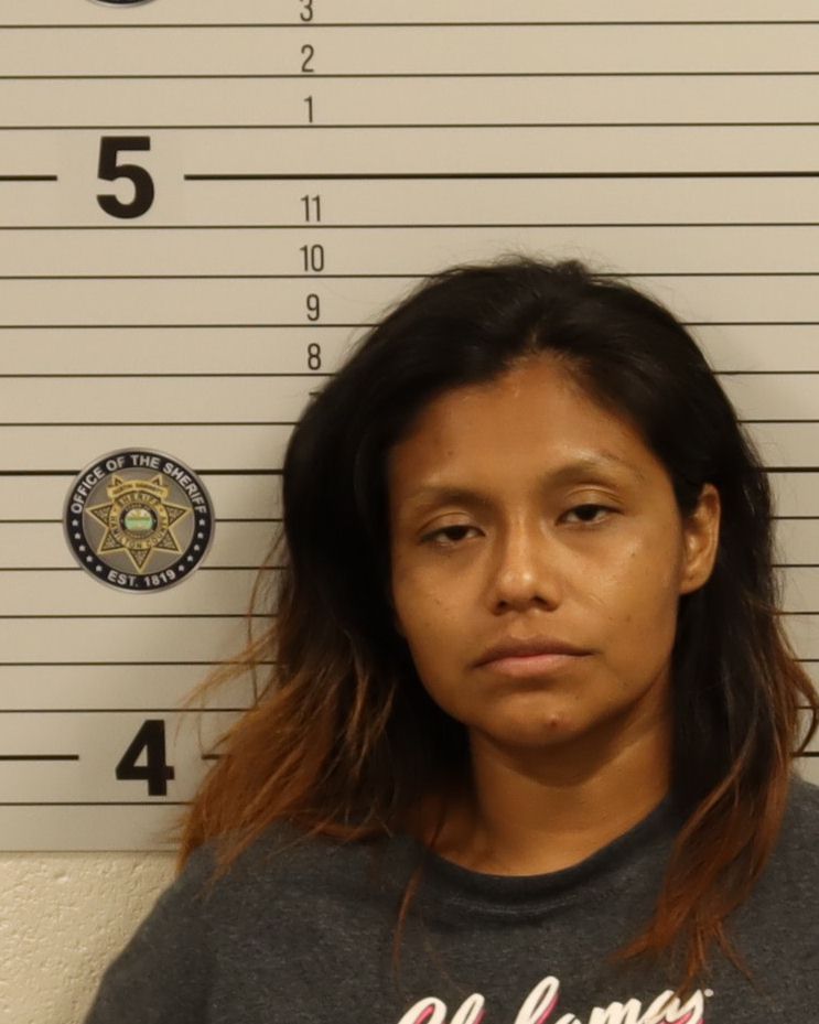 Booking photo of Sonia Victoria Ramirez
