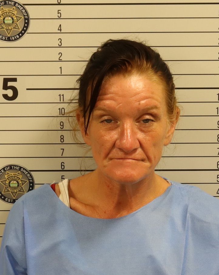 Booking photo of Brandy Elizabeth Turner