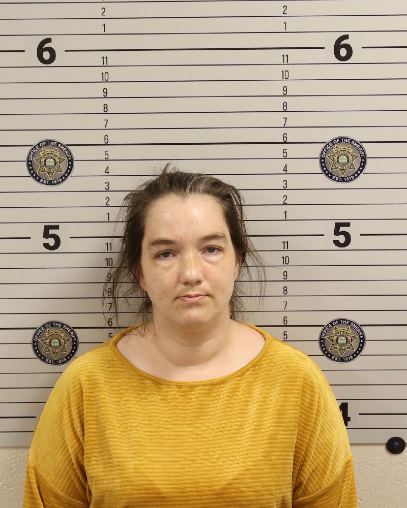 Booking photo of Kelsey Danielle Long