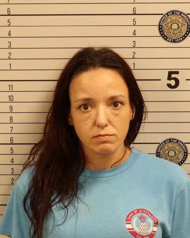 Haley Alexandria Sisk booking photo