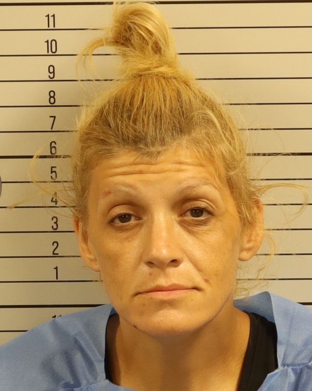 Booking photo of Jessica Lynn Plott