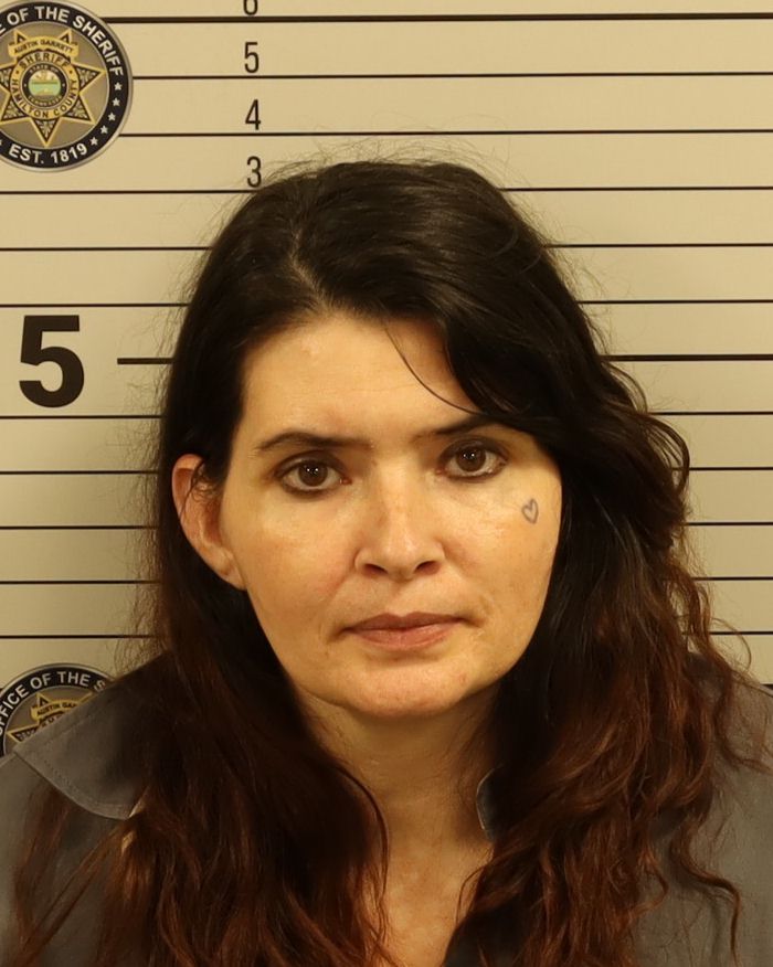 Booking photo of Vanessa Marie Fortner