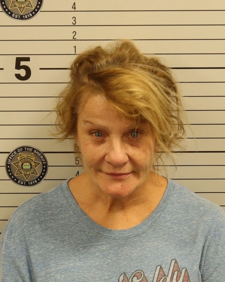 Booking photo of Pamela Denise Smith