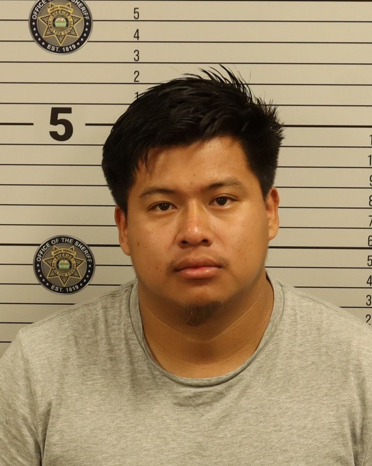 Booking photo of Ronaldo David Miranda