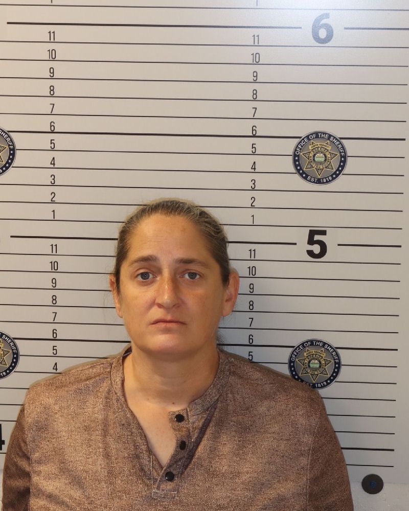 Booking photo of Lisa Marie Hendley