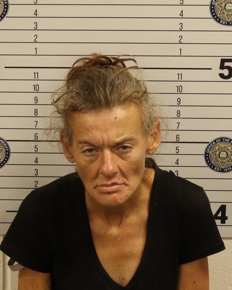 Booking photo of Heather Ann Couch