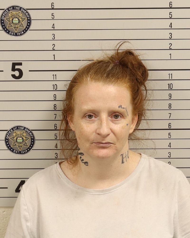 Booking photo of Whitney Leanne Redman