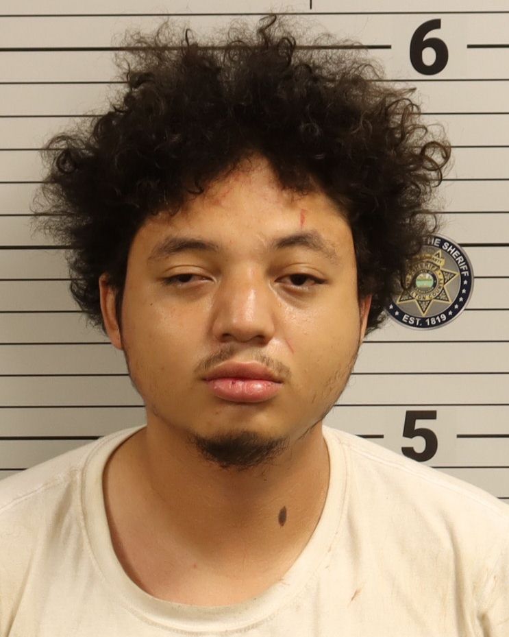 Booking photo of Hayden Dion Collins