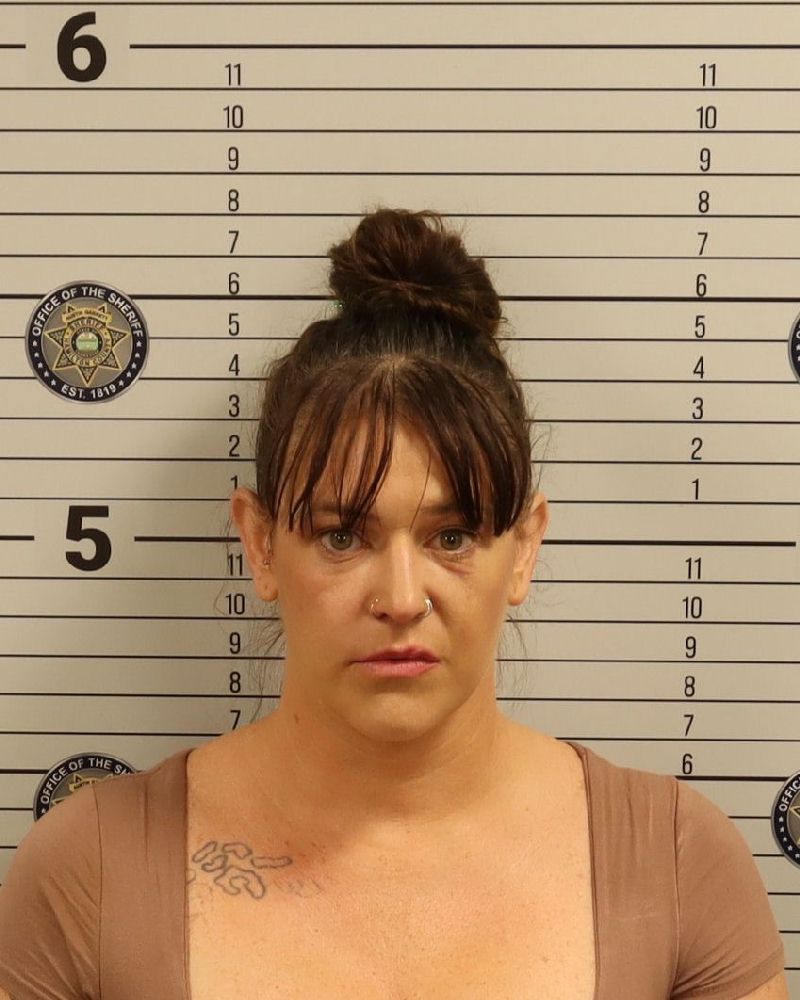 Booking photo of Rachael Lee Knight