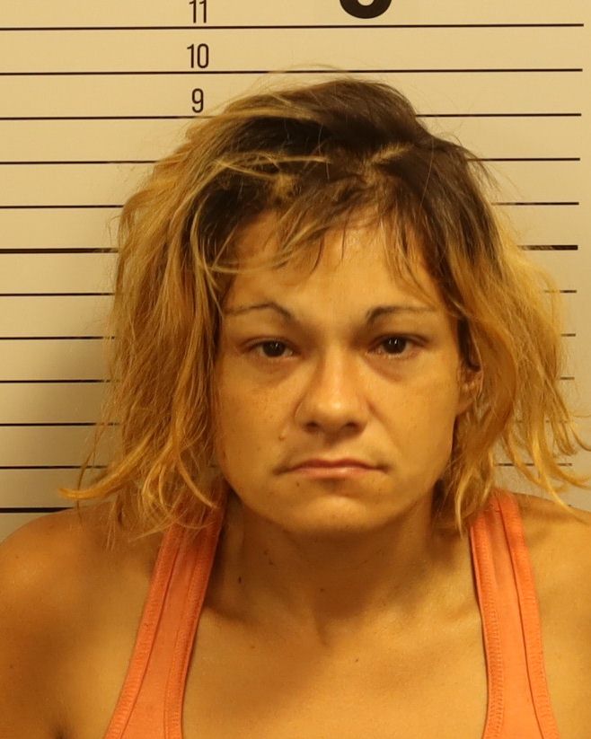 Booking photo of Laura Brooke Reason