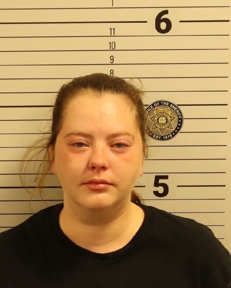 Sarah Nicole Sanders booking photo