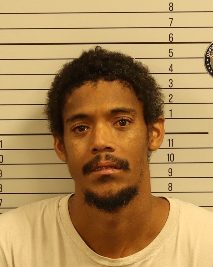 Booking photo of Tevin Jarell Robinson