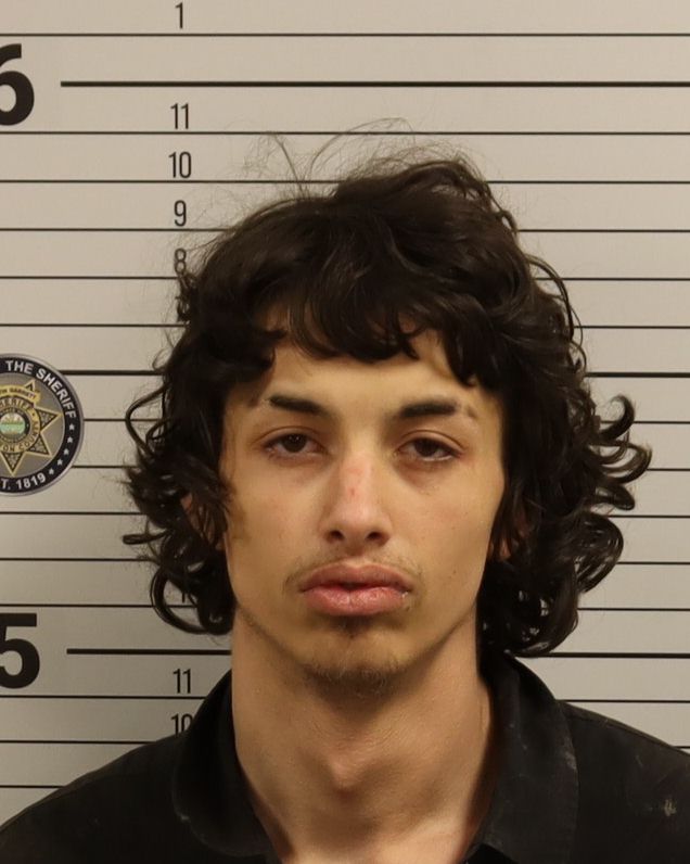 Booking photo of Liam Torres