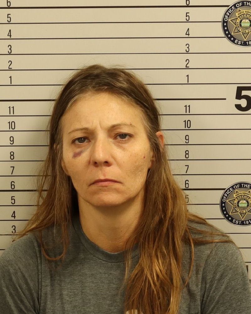 Booking photo of Stephanie Danialle Henley