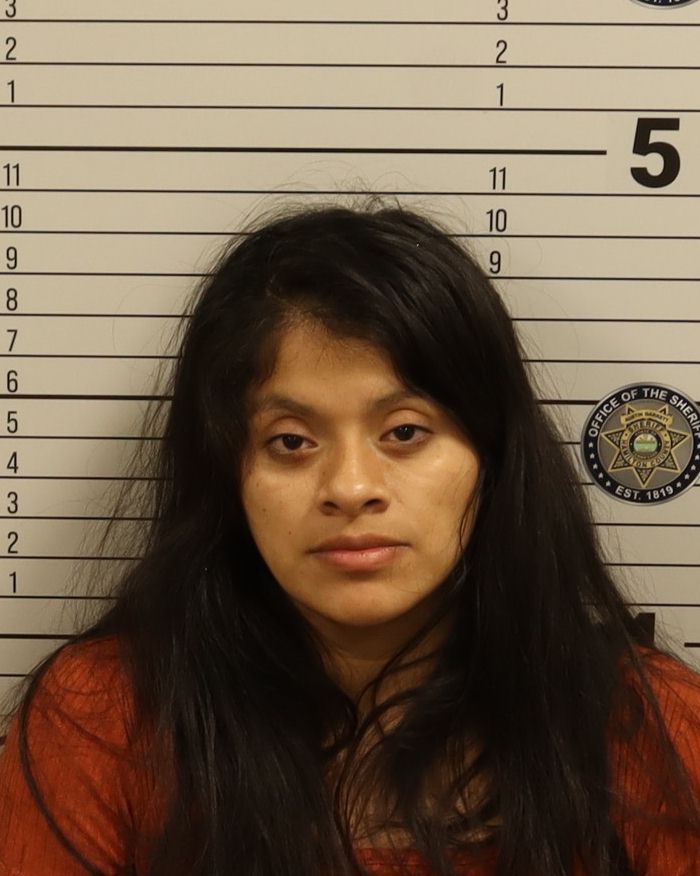 Booking photo of Lucia Domingo