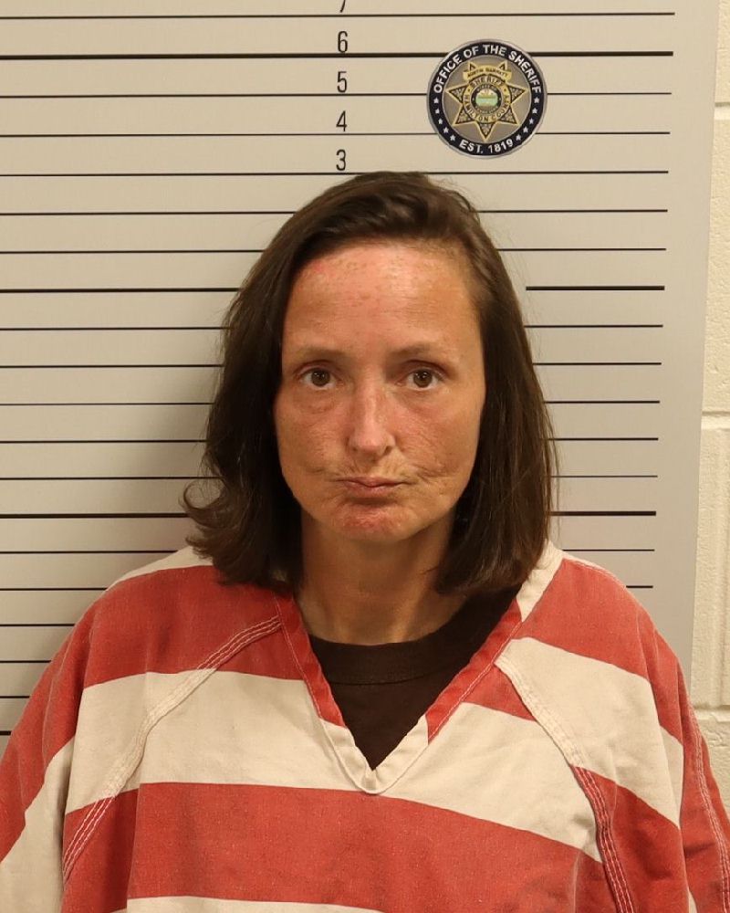 Booking photo of April Lee Swiski